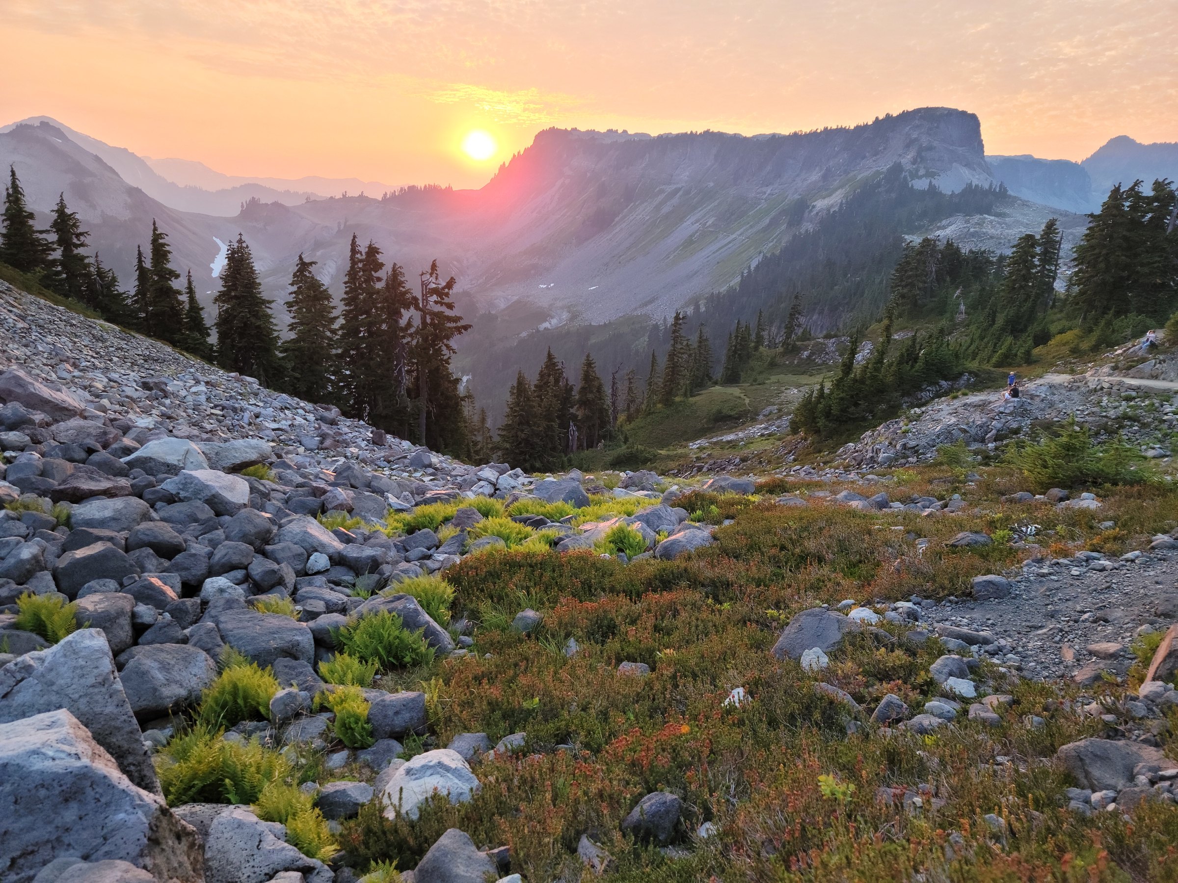 The sun bursting over a ridge above a fall-colored alpine meadow at Artist Point near Bellingham