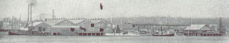 1914 photograph of the Ainsworth and Dunn salmon cannery on the waterfront at Blaine, Washington