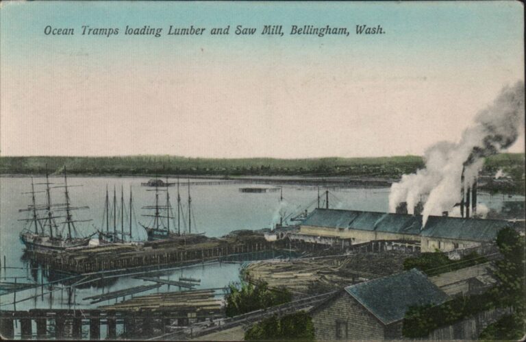 1908 postcard of cargo sailing ships moored at a lumber mill dock on Bellingham Bay