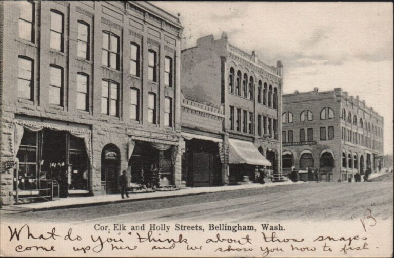1908 souvenir postcard view of Bellingham, Washington