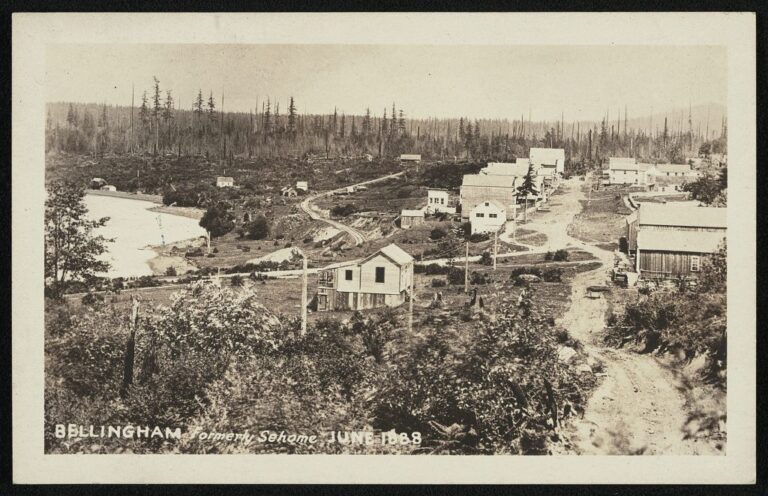 Sepia 1888 photograph of an early frontier town with dirt roads, scattered wooden buildings, and stump-covered cleared land labeled Bellingham formerly Sehome June 1888
