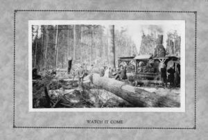 Steam donkey engine dragging logs while onlookers watch at a logging site