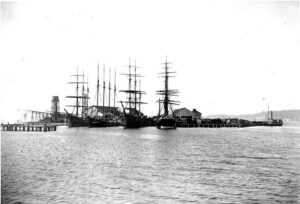 Several masted sailing vessels anchored in Drayton Harbor near Blaine around 1905