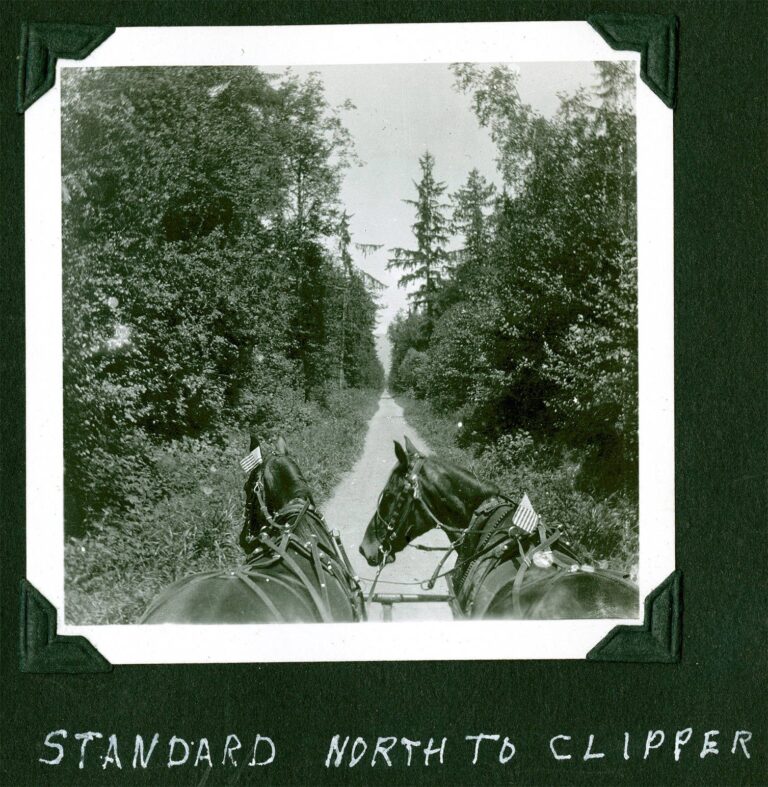 Around 1905 photograph of a horse-drawn wagon on a rural road at Standard in Whatcom County