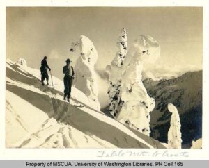 1930s photograph of two skiers among snow-covered trees below Table Mountain near Mount Baker