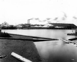 1909 photograph of the Pacific American Fisheries cannery piers on Bellingham's waterfront