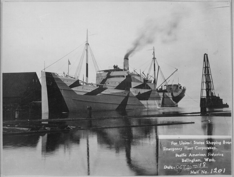 1918 photograph of a wooden cargo steamer at the Pacific American Fisheries yard in Bellingham