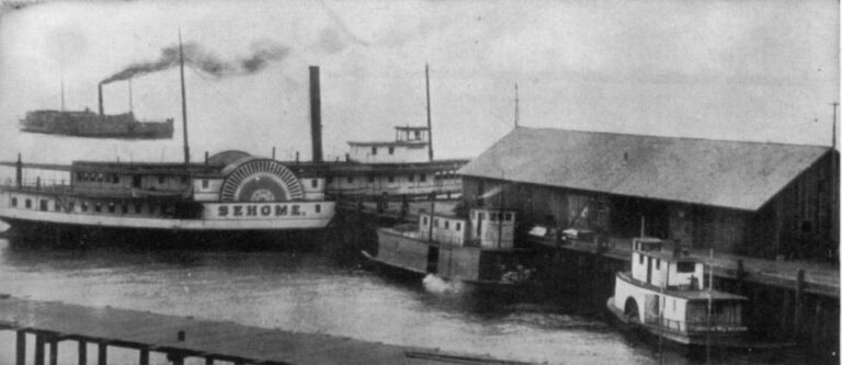 1902 photograph of sidewheel and sternwheel steamboats docked at Bellingham