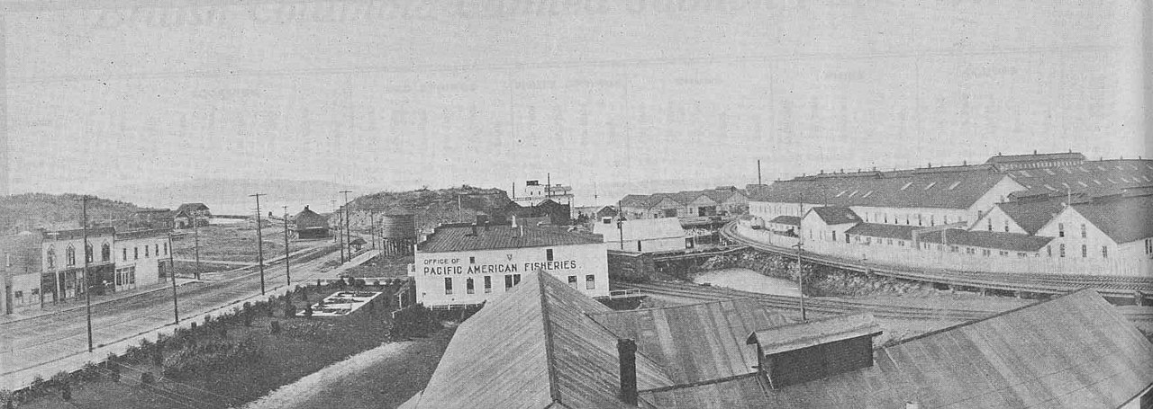 Pacific American Fisheries cannery, Bellingham, 1912