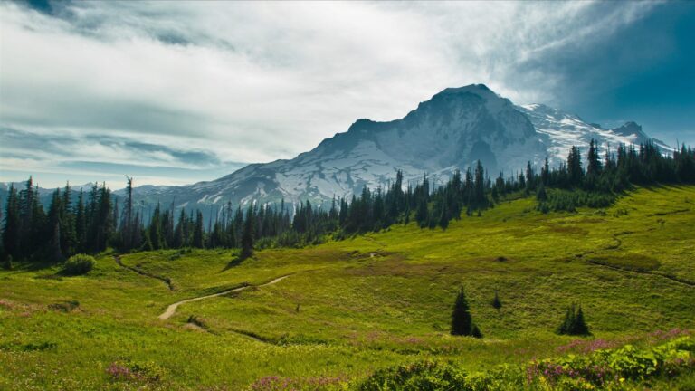 A trail winding through an alpine meadow toward the snow-draped peak of Mount Baker at Artist Point