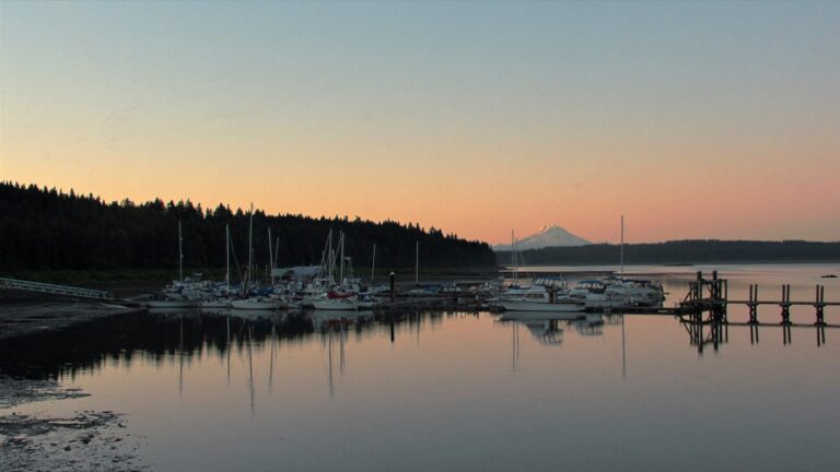 Sailboats moored in a calm marina on Bellingham Bay at sunset