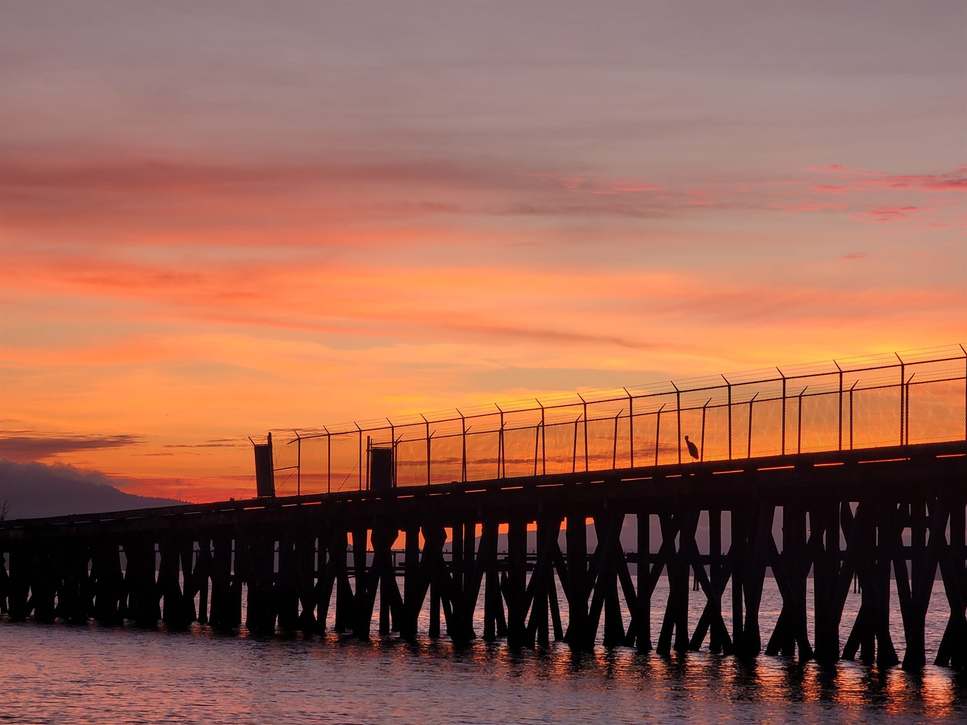 Sunset over Squalicum Pier in Bellingham, Washington